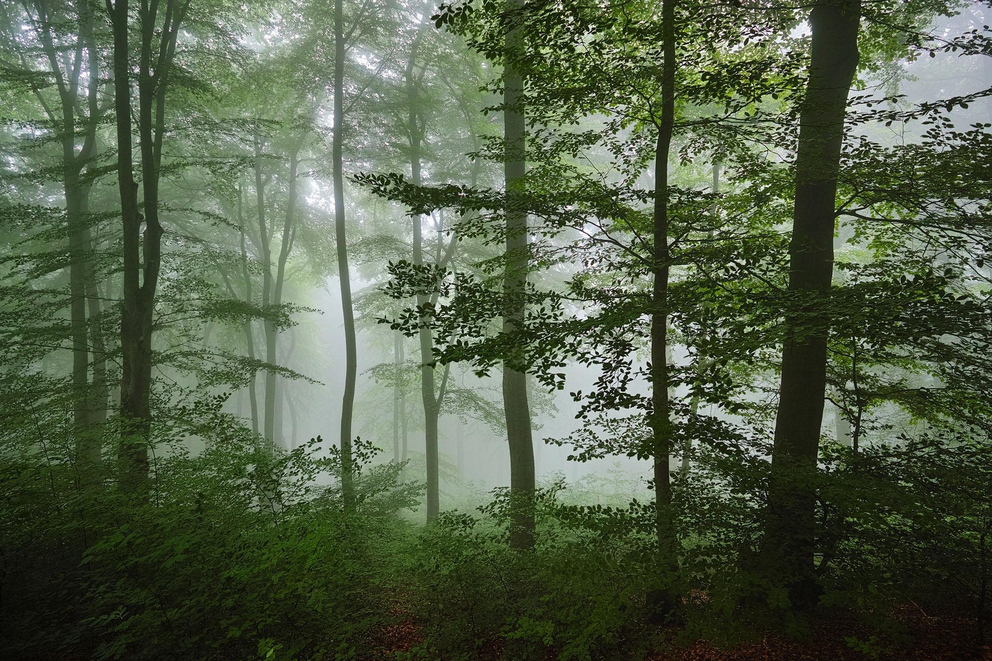 Présentation de la marque Vosges Secrètes